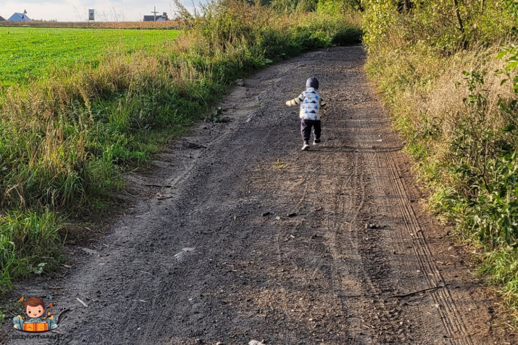 metoda montessori samodzielnosc i autonomia dziecka
