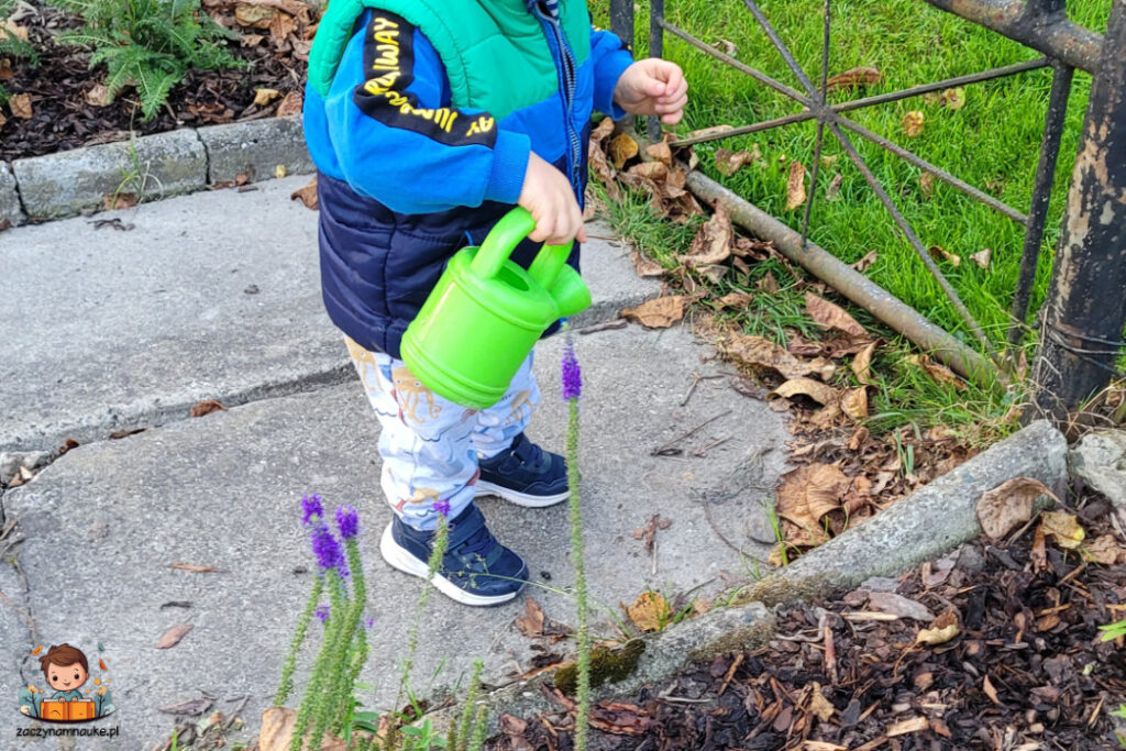 zabawa montessori pdlewanie kwiatow jesienna 2