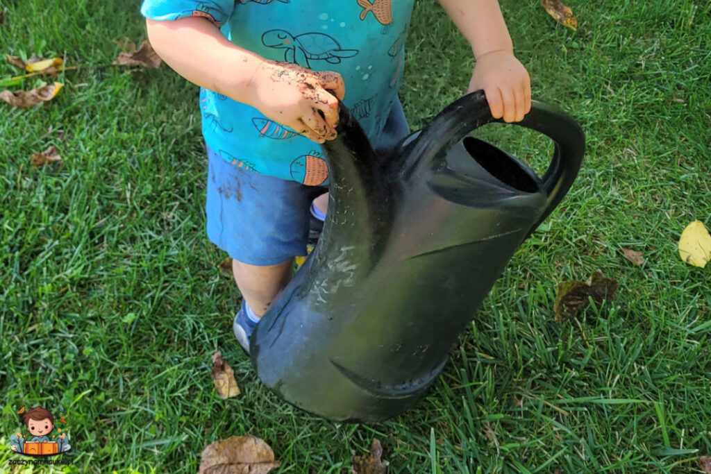 zabawa montessori pdlewanie kwiatow jesienna 2