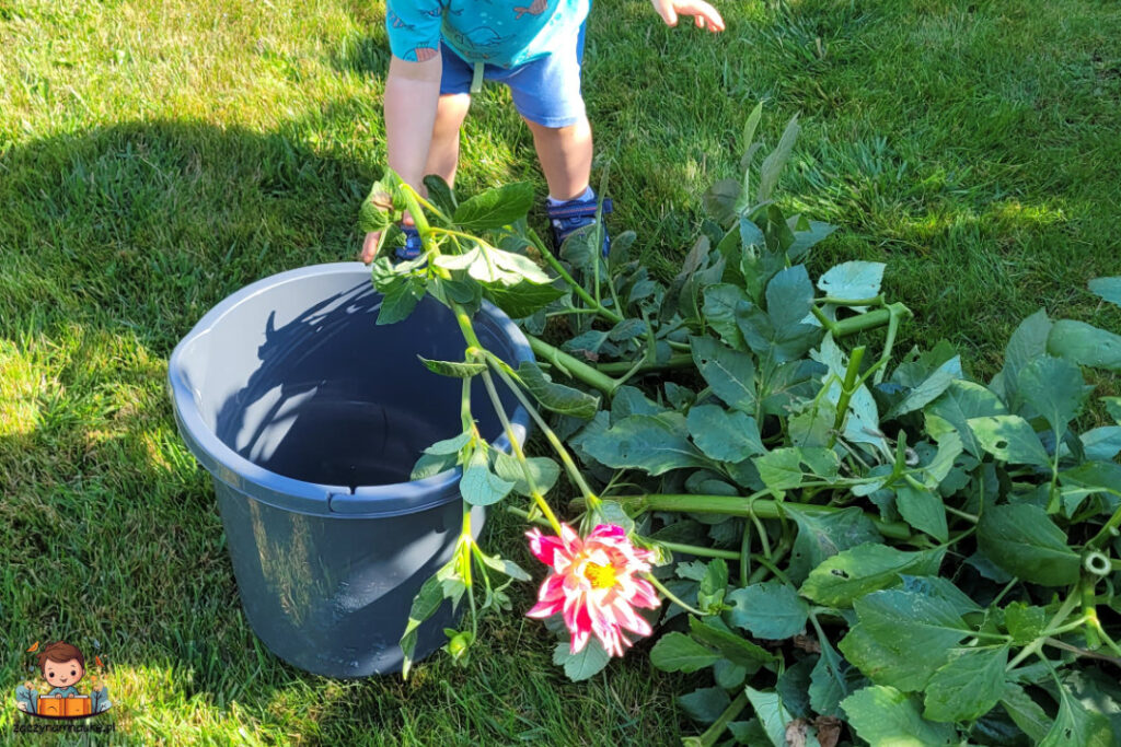 metoda montessori zasady i porady zabawa na dworze