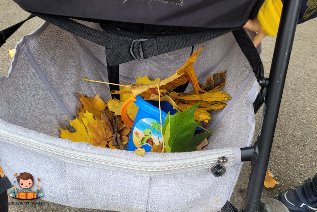 Jesienne zabawy dla rocznego Dziecka i Przedszkolaka montessori