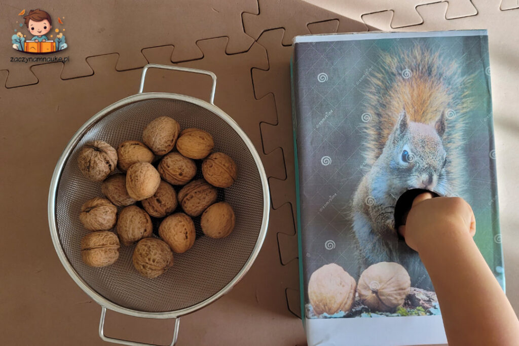 jesienne zabawy sensoryczne  montessori orzechy