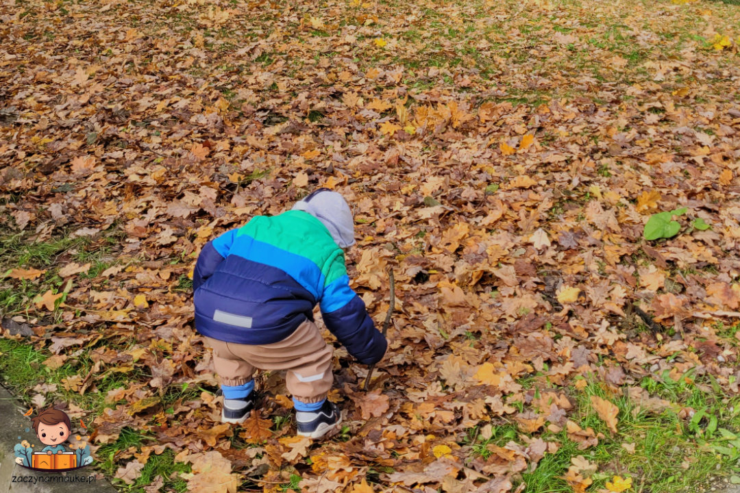 Jak zakazywać Dziecku? Jak powiedzieć NIE, żeby posłuchało!