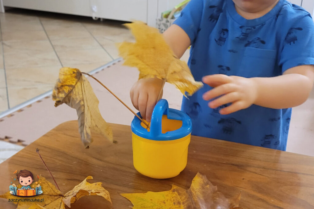 jesienny bukiet zabawa dla niemowlaka rocznego dziecka montessori 3