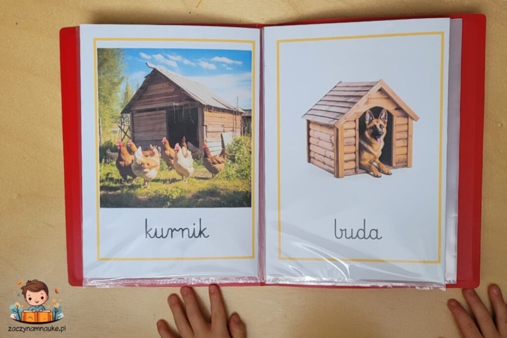 karty obrazkowe jak korzystac portfolio 7