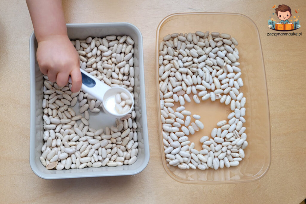 zabawa montessori sensoryczna przesypywanie sortowanie