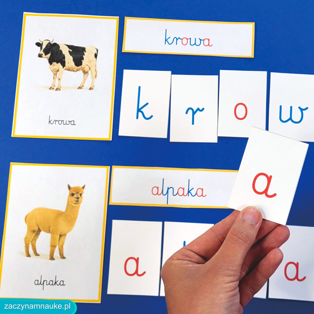 zwierzeta na wsi do druku obrazki karty montessori zestaw edukacyjny PDF zajecia przedszkolne w przedszkolu na farmie farma 1