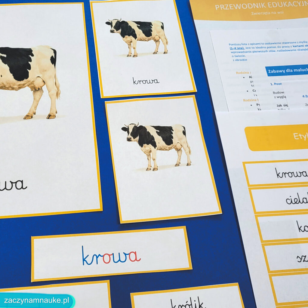 zwierzeta na wsi do druku obrazki karty montessori zestaw edukacyjny PDF zajecia przedszkolne w przedszkolu na farmie farma 1