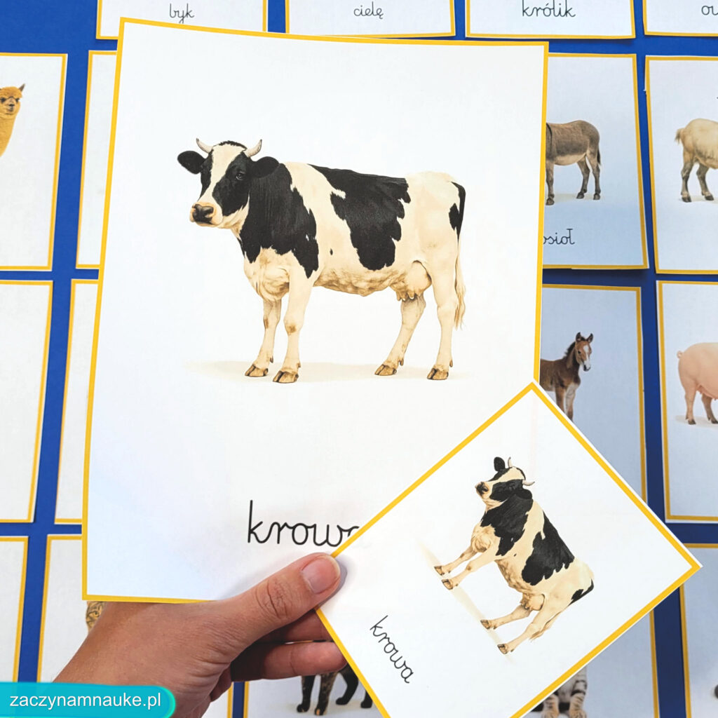 zwierzeta na wsi do druku obrazki karty montessori zestaw edukacyjny PDF zajecia przedszkolne w przedszkolu na farmie farma 1
