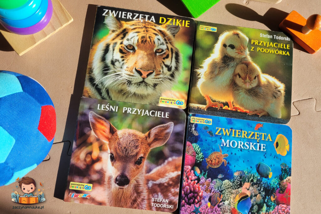 ksiazka z zdjeciami zwierzat dla dziecka