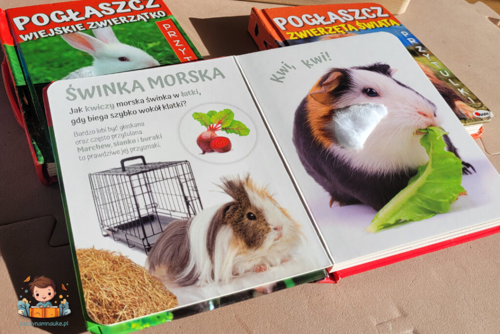 przytulaki poglaszcz zwierzatko ksiazka sensoryczna dla rocznego dziecka