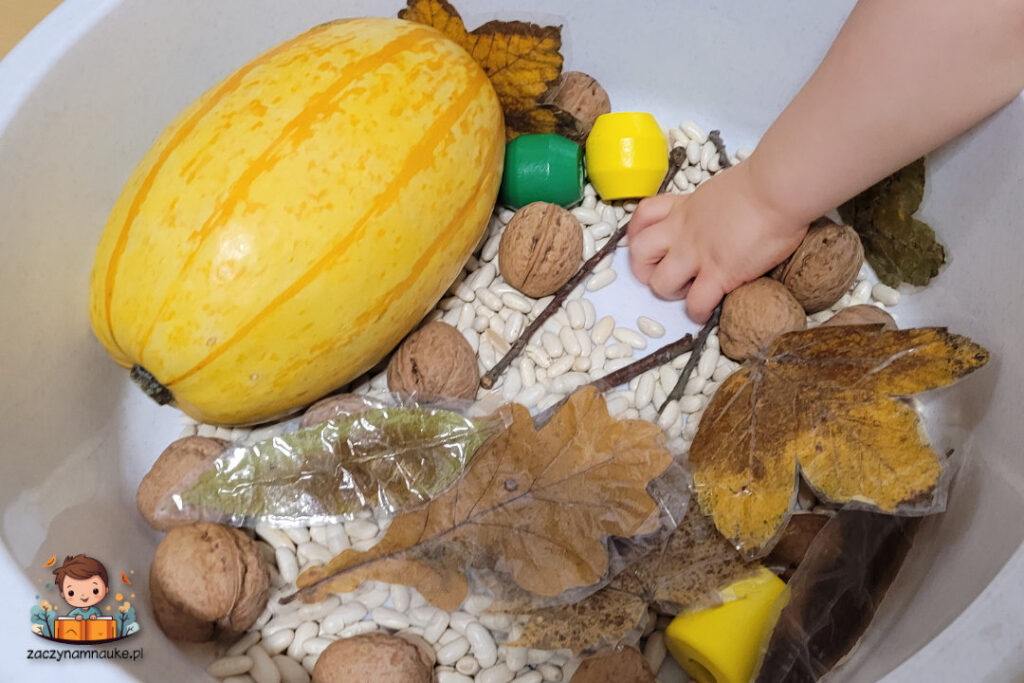 jesienny kosz zabawa sensoryczna montessori niemowlak roczne dziecko