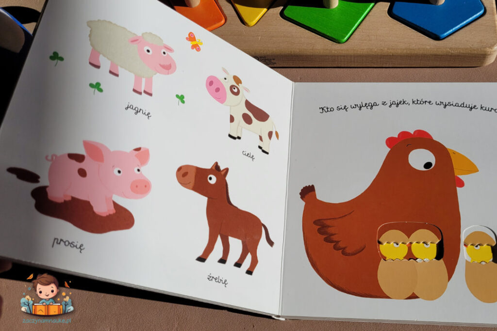 książki montessori dla niemowlaka akademia mlode zwierzeta pierwsze slowa