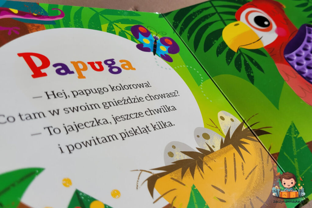 Baw się i dotknij. Na wsi. w dzungli ksiazeczka sensoryczna