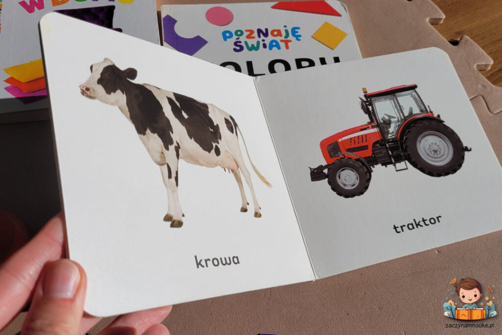 poznaje swiat wilga maluszek poznaje ksiazka montessori