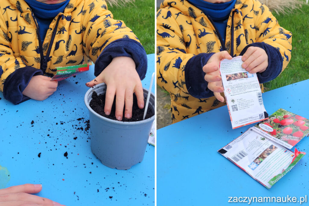 Wiosenna zabawa Montessori zabawa sensoryczna dla dzieci wiosna praca w ogrodzie pomidory