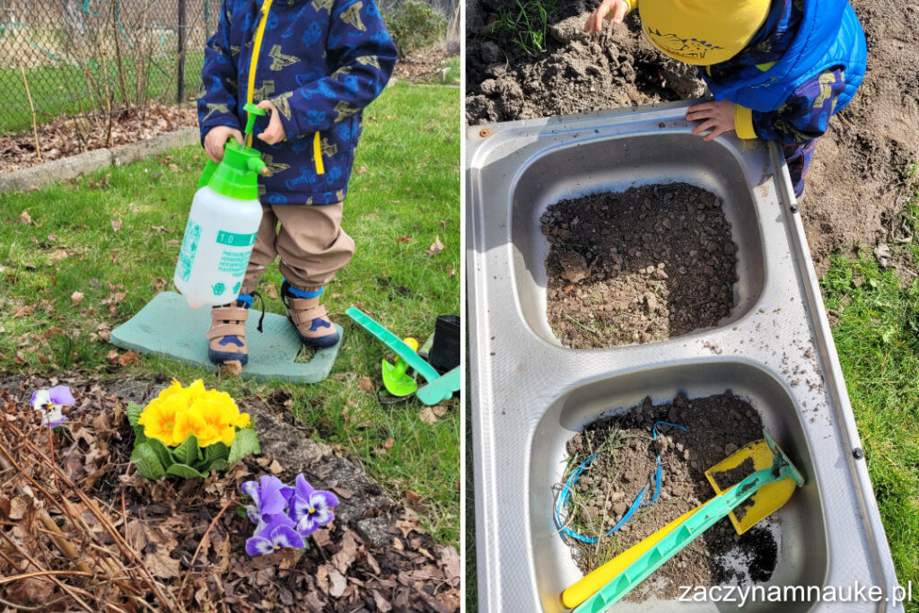 Wiosenna zabawa Montessori zabawa sensoryczna dla dzieci wiosna praca w ogrodzie pomidory 2