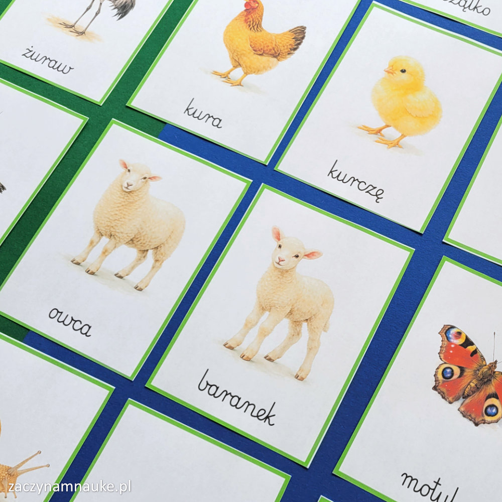 karty obrazkowe wiosna montessori wiosenne symbole do druku obrazki dla dzieci 7