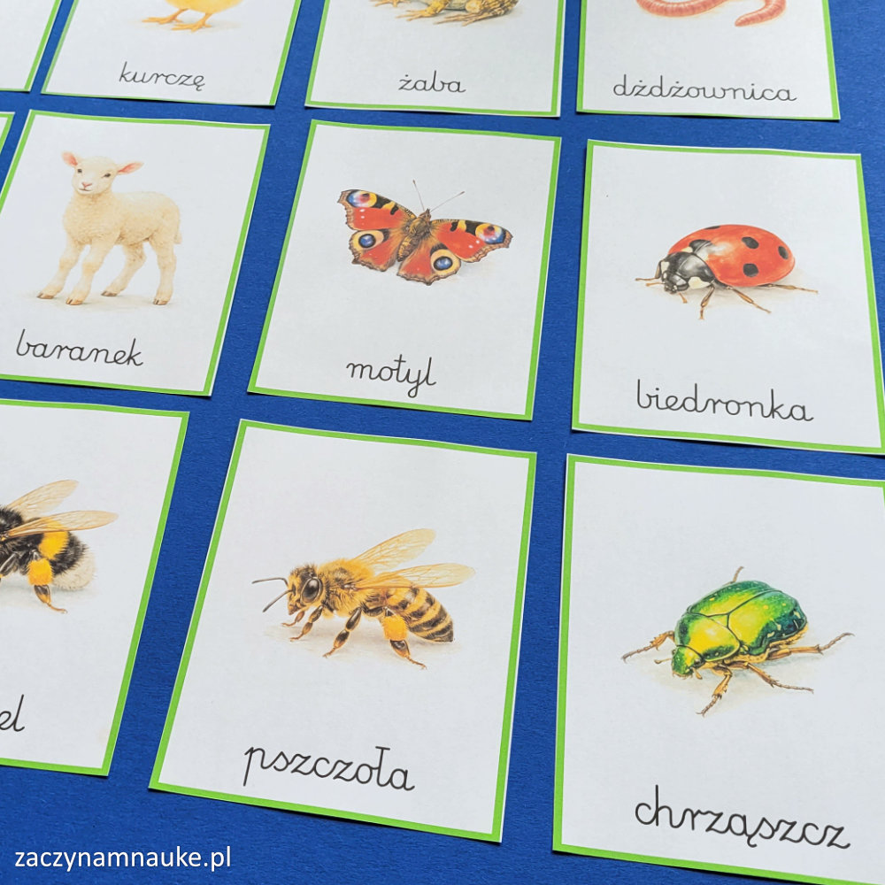 karty obrazkowe wiosna montessori wiosenne symbole do druku obrazki dla dzieci 8