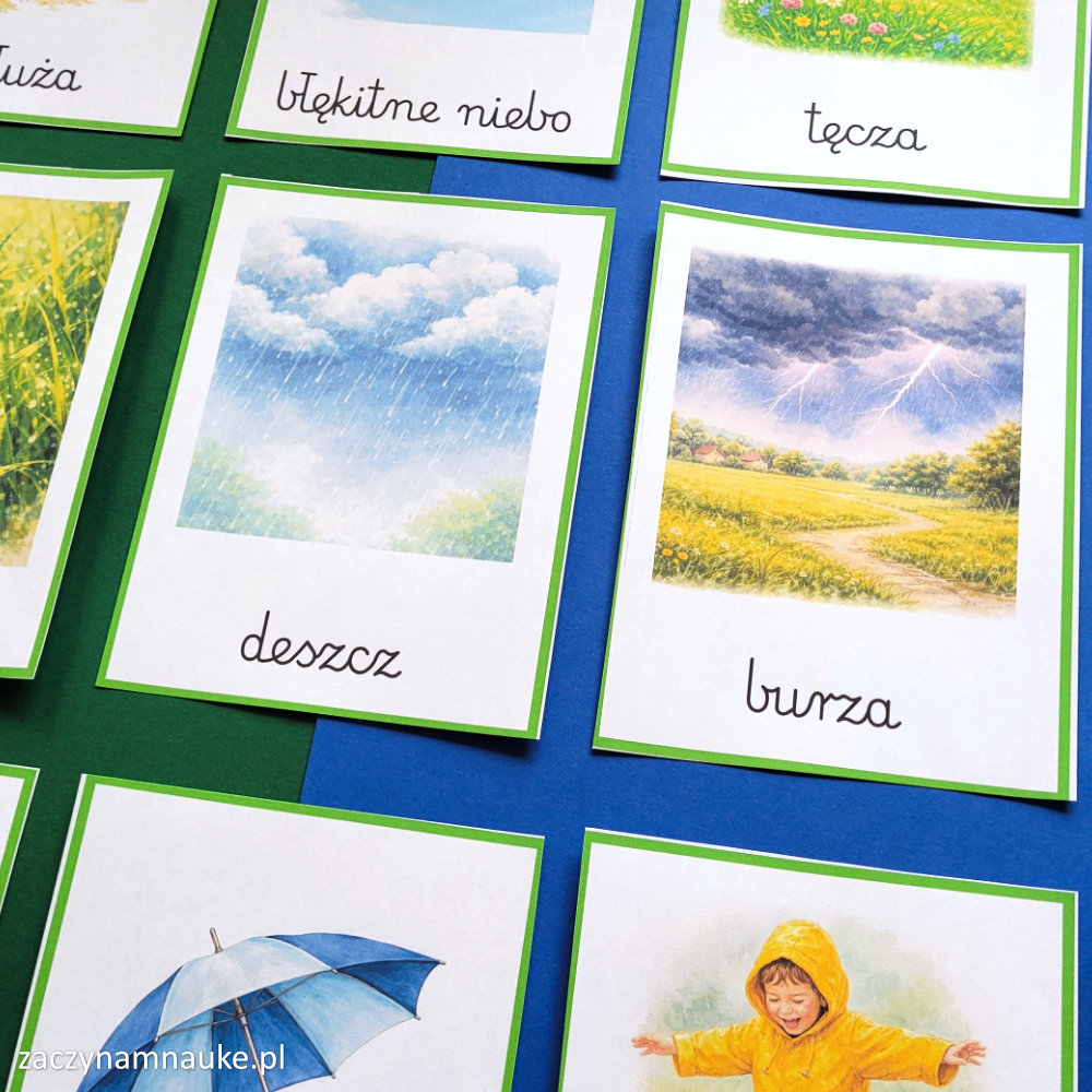 karty trojdzielne montessori wiosna symbole i zwiastuny wiosenne kwiaty pogoda ogrod 5