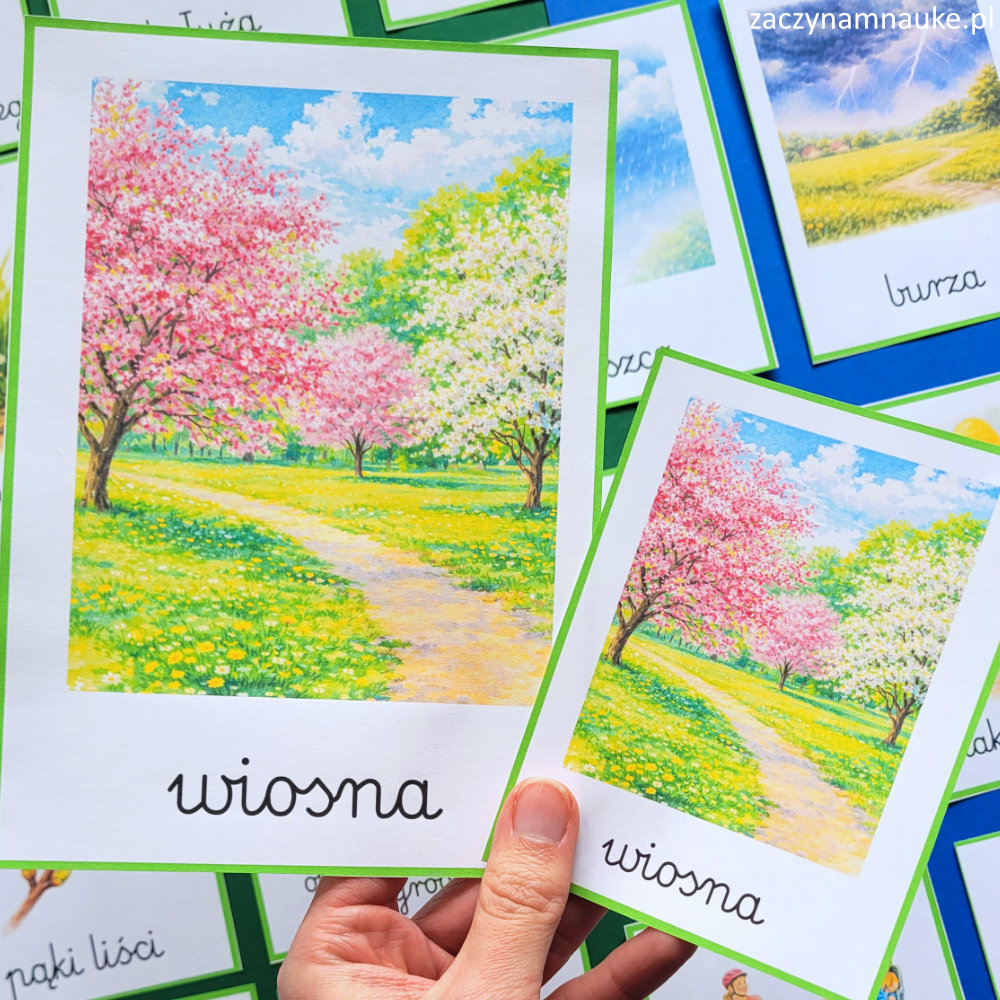 karty trojdzielne montessori wiosna symbole i zwiastuny wiosenne kwiaty pogoda ogrod plansze edukacyjne