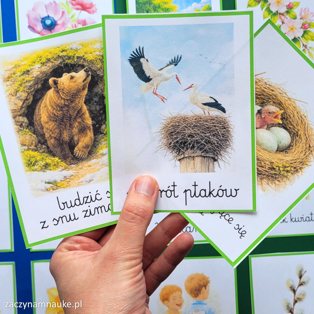 ptaki powracjace na wiosne pory roku ptaki polski wiosna symbole zwiastuny karty do druku dla dzieci 5