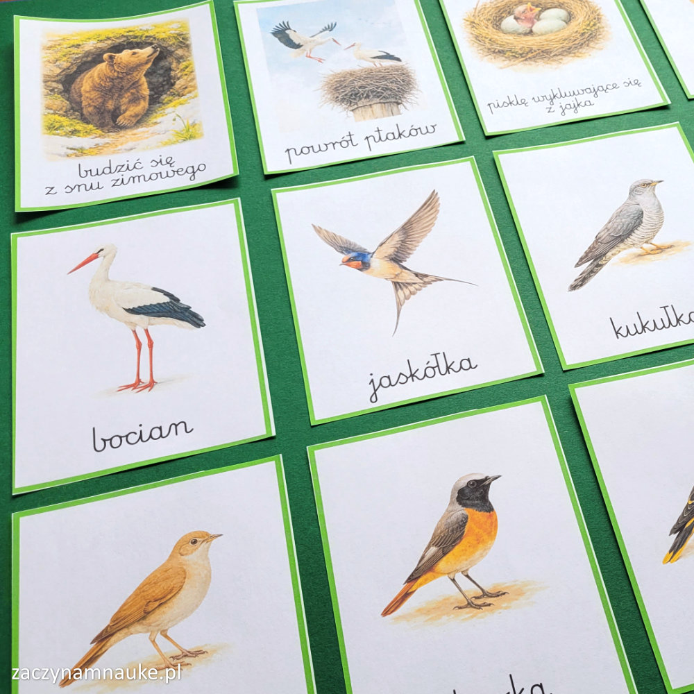 ptaki powracjace na wiosne pory roku ptaki polski wiosna symbole zwiastuny karty do druku dla dzieci