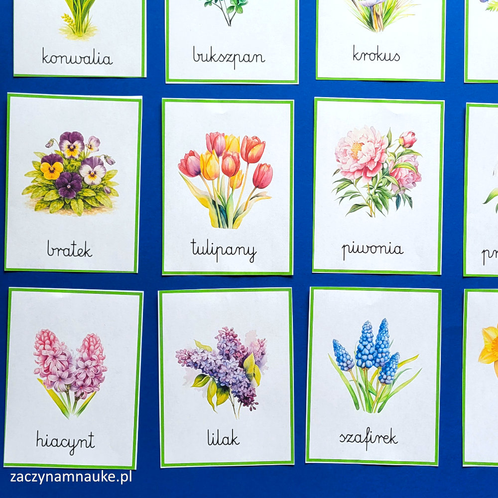 wiosenne kwiaty obrazki do druku dla dzieci karty montessori zwiastuny wiosny wiosna symbole 10