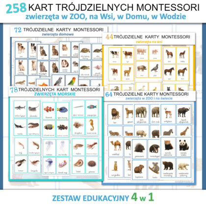 trojdzielne karty montessori zwierzeta swiata do druku zoo obrazki karty obrazkowe z zwierzetami 4 w 1