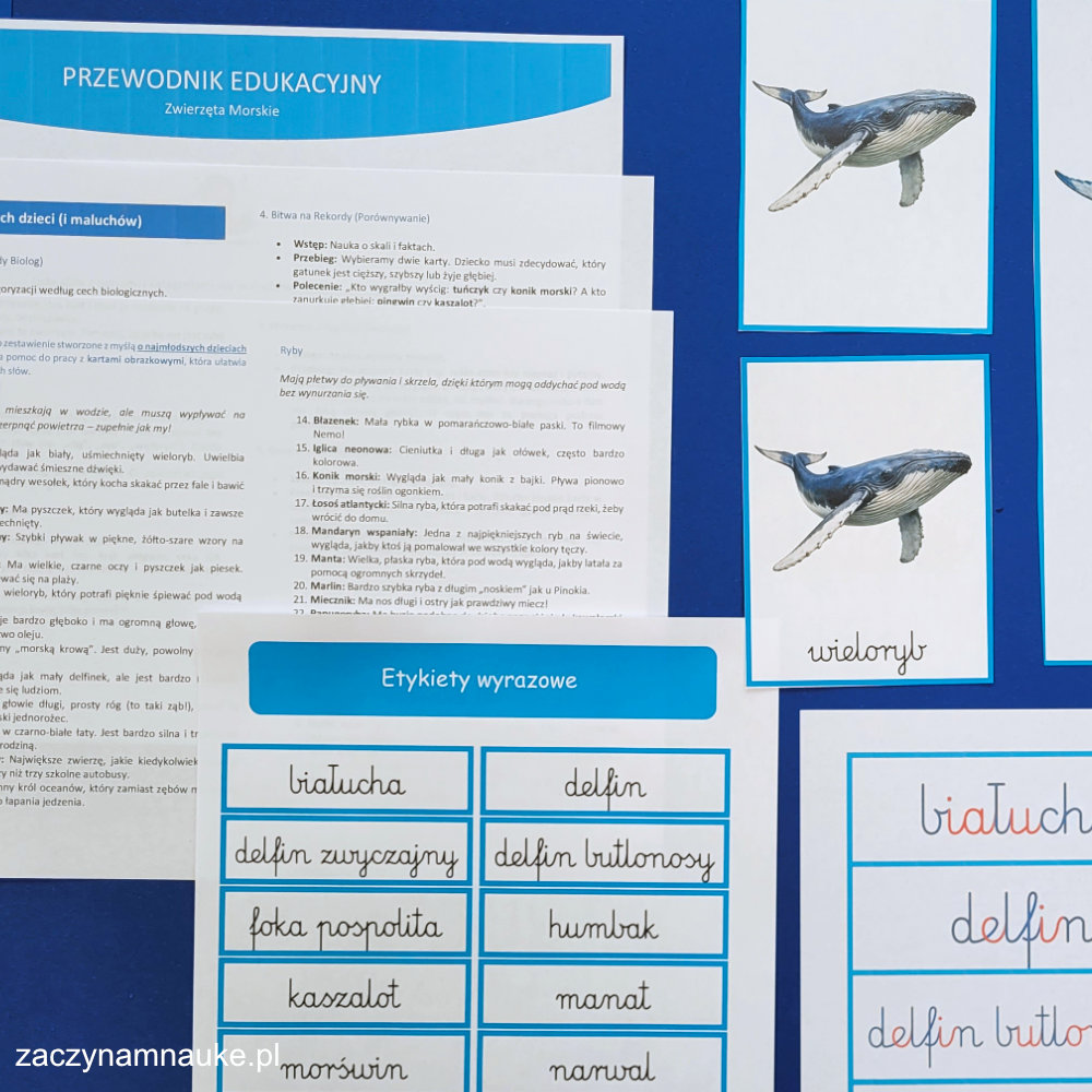 karty edukacyjne zwierzeta morskie do druku zestaw montessori karty trojdzielne ryby ptaki ssaki w morzu i oceanie morski swiat 13