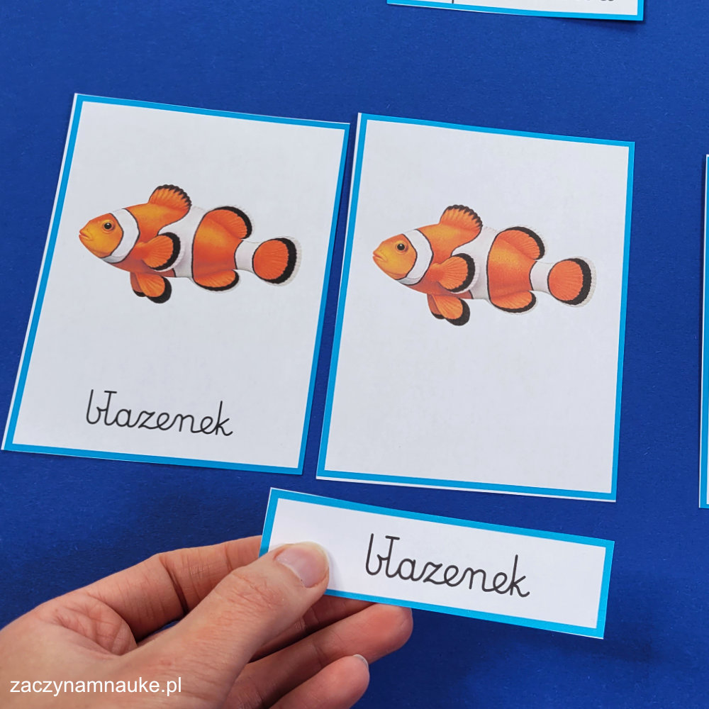 karty edukacyjne zwierzeta morskie do druku zestaw montessori karty trojdzielne ryby ptaki ssaki w morzu i oceanie morski swiat 5