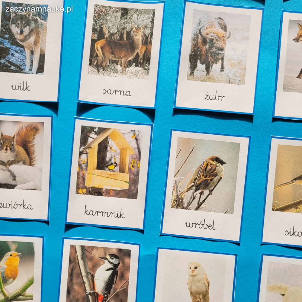 Karty Obrazkowe ZIMA dla dzieci - zimowe obrazdki do druku pdf