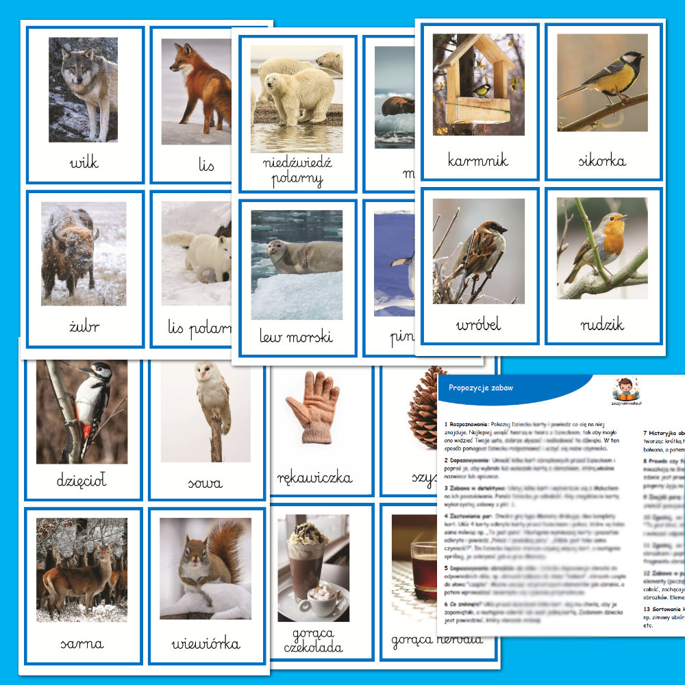 Karty Obrazkowe ZIMA- plik PDF do druku obrazki nauka mowienia montessori