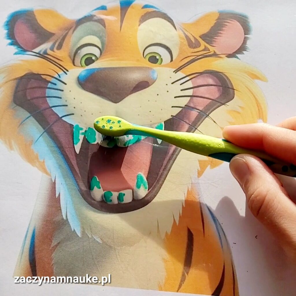 nauka mycia zebow dzien dentysty zabawa aktywnosc karty pracy pdf do druku