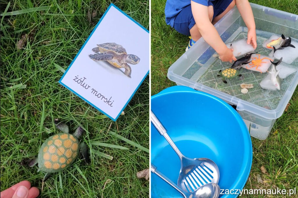Sensoryczne zabawy na lato dla dzieci zabawa sensoryczna montessori przedszkole dwulatek zwierzeta morskie