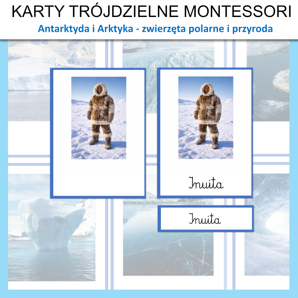 karty trojdzielne montessori zwierzeta polarne antarktyda i arktyka na biegunie 1
