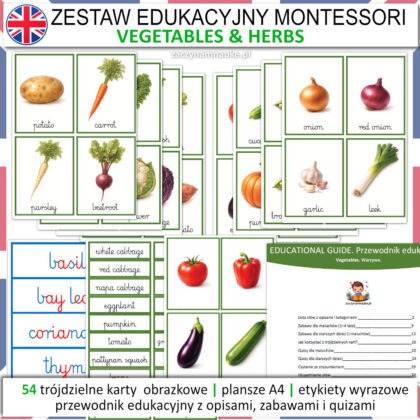 warzywa po angielsku do druku dla dzieci karty vegetables flashcard picture cards montessori nauka angielskiego przedszkole szkola 5