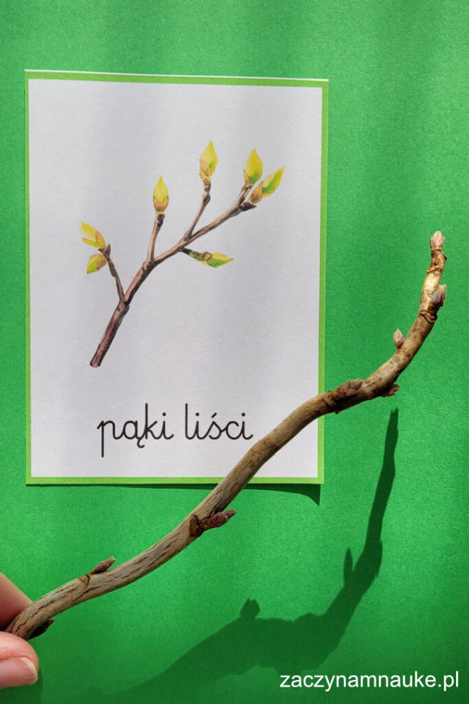 wiosna praca plastyczna przedszkole symbole wiosny plastyka karty obrazkowe do druku obrazki 2