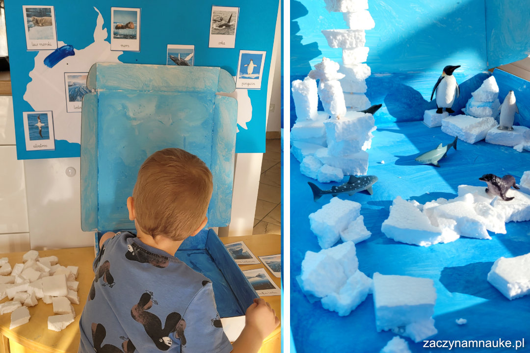 Zimowa zabawa dla dzieci. Zwierzęta polarne mieszkańcy Antarktydy i Arktyki.