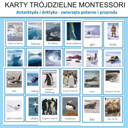 zwierzeta antarktyda i arktyka karty obrazkowe plansze do druku 1