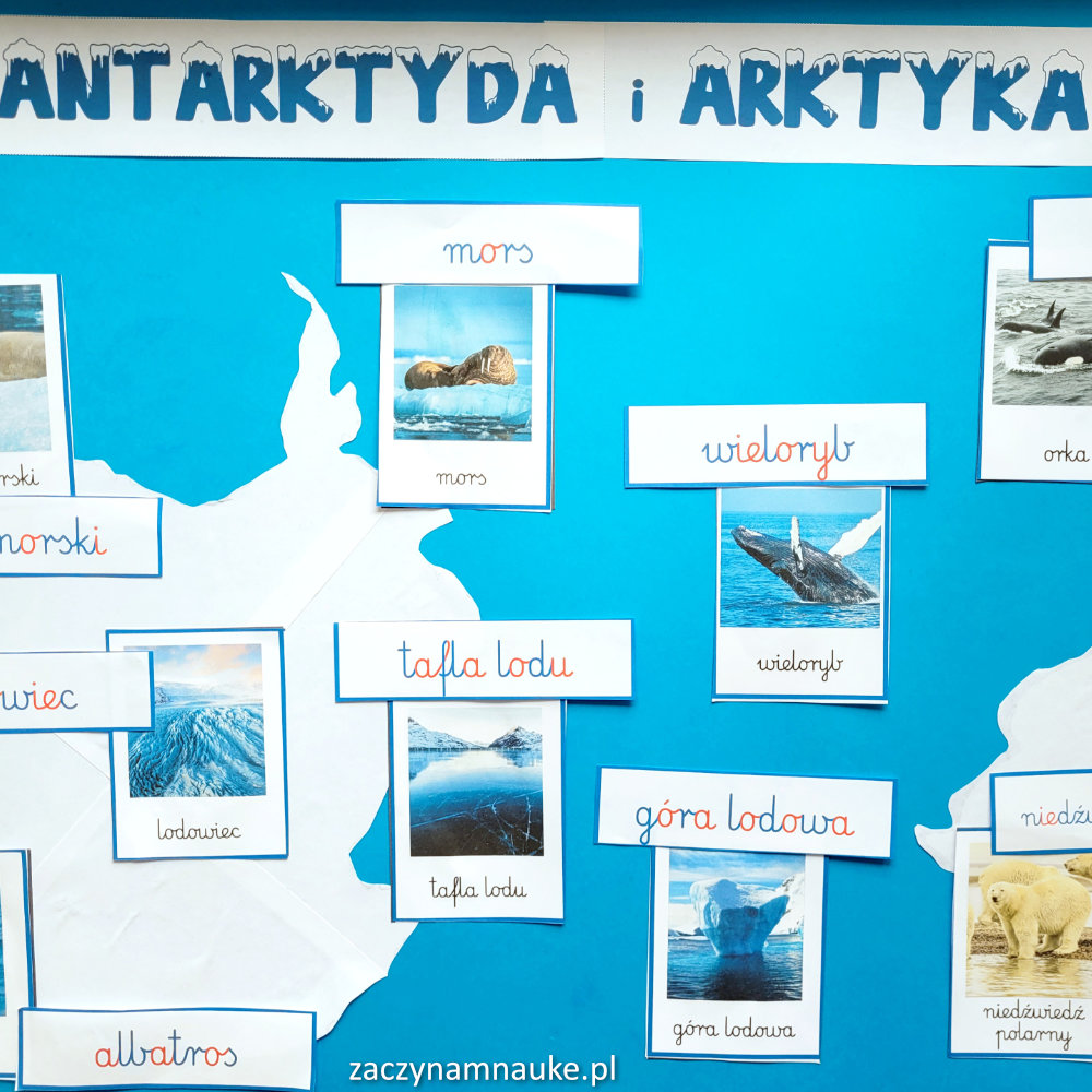 Zwierzęta Polarne dla Dzieci zabawa na ferie dwulatek dwuroczne dziecko zima