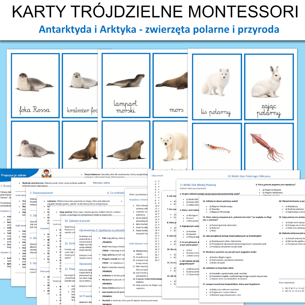 zwierzeta antarktyda i arktyka karty obrazkowe plansze do druku 1