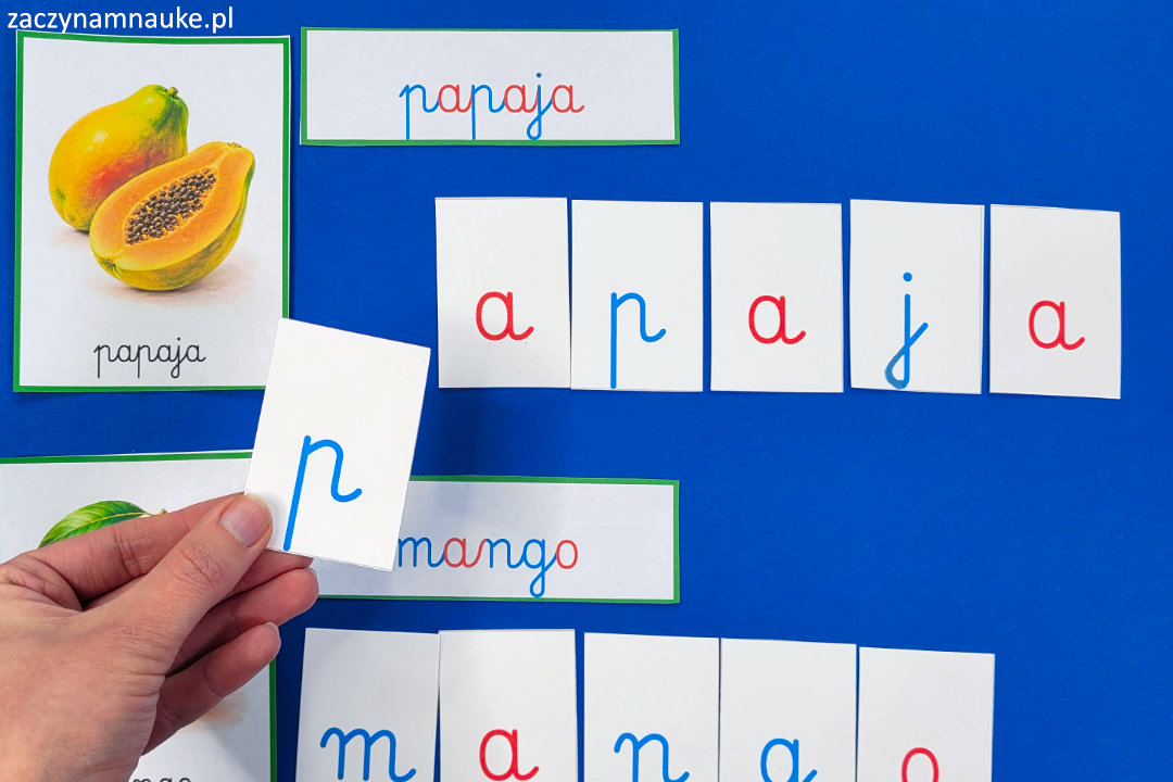 owoce do druku przedszkole zajecia montessori jesien wiosna przetwory nauka pisania czytania karty edukacyjne 2