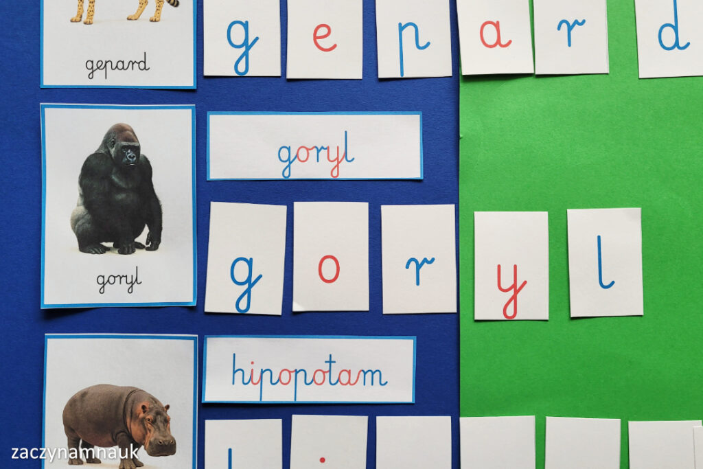 zwierzeta swiata karty obrazkowe montessori do druku pdf rozwoj mowy
