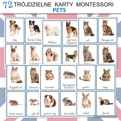 karty montessori zwierzeta domowe po angielsku do druku karty obrazkowe dla dzieci nauka czytania 2