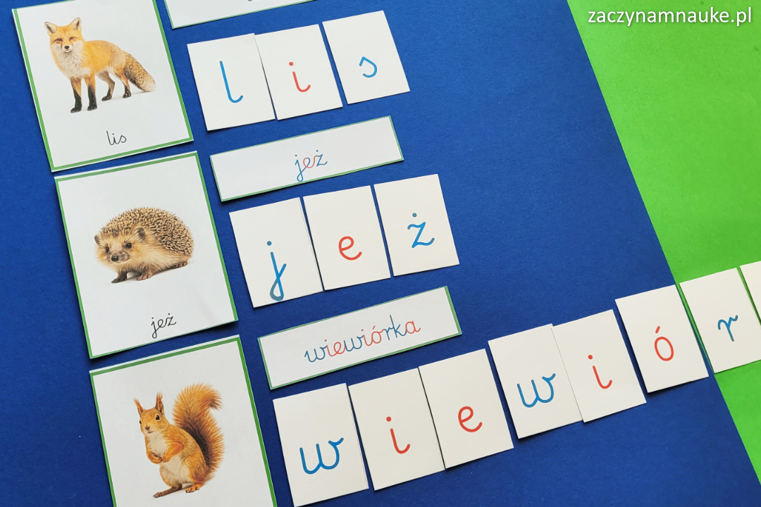 Zwierzęta leśne Polski do druku — kompleksowy przewodnik edukacyjny + gotowy materiał Montessori dla Twojego dziecka