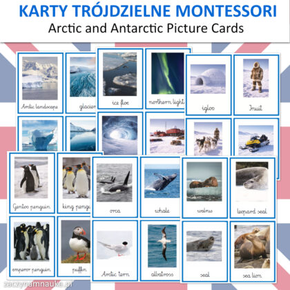 obrazki do druku zima zwierzeta polarne karty montessori nauka angielskiego angielski antarktyda 2