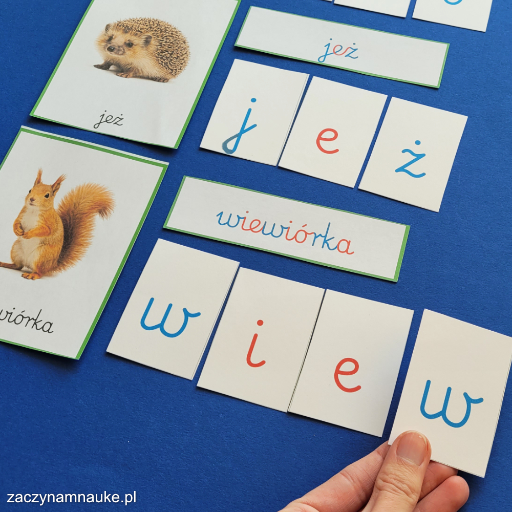 karty trojdzielne montessori zwierzeta w lesie do druku obrazki dla dzieci las nauka ruchomy alfabet 2