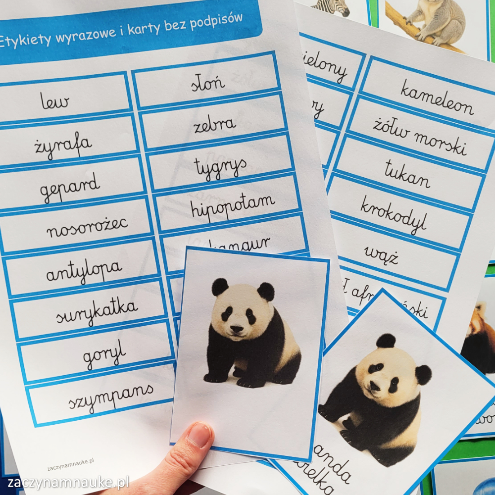 zwierzeta na swiecie obrazki do druku karty obrazkowe zwierzeta swiata zoo montessori 1