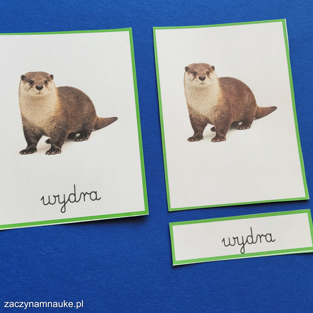 zwierzeta w lesie karty obrazkowe obrazki do druku dla dzieci pdf nauka nazw zwierzat lasu las montessori 6